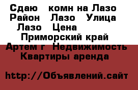 Сдаю 1-комн на Лазо › Район ­ Лазо › Улица ­ Лазо › Цена ­ 15 000 - Приморский край, Артем г. Недвижимость » Квартиры аренда   